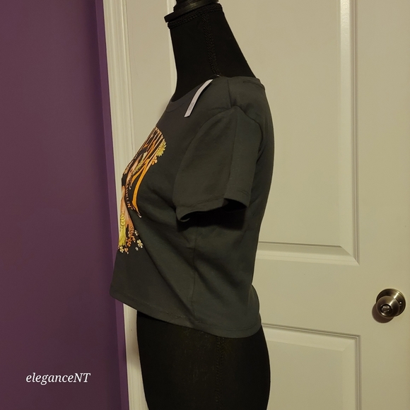 Gap Cropped Graphic Aretha Franklin Gray T-Shirt Sz: M NWT - Picture 2 of 7